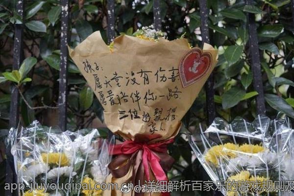 详细解析百家乐的游戏规则及概率计算方法